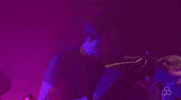 m83 GIF by Bonnaroo Music and Arts Festival