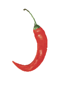 formitable_cooking chili Biel bienne formitable Sticker