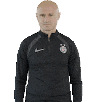 Partizan Sticker by sportmts