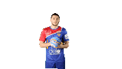 National Team Sport Sticker by Rushandball