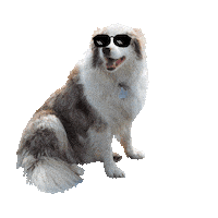 Goose Sticker by CCC Golf