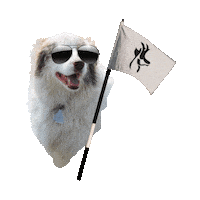 Goose Sticker by CCC Golf