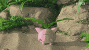 Pokemon Evolution GIF by Pokémon