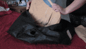 Bbc Scotland GIF by Stellify Media
