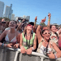 Chicago Illinois Fans GIF by Respective