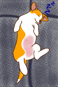 Snoopylecorgi puppy sleep good night corgi GIF