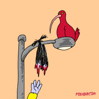 Animation Domination Fox GIF by gifnews