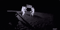 Crypto Doge GIF