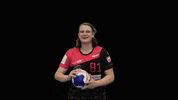 dhcplzen  GIF