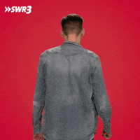 Oh Hello Wave GIF by SWR3