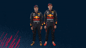 Red Bull Sport GIF by Red Bull Racing Honda