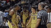 basketball college GIF by Wofford Athletics