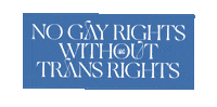 re-inc pride transgender pride month gay rights Sticker