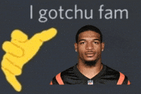 Who Dey Chase GIF