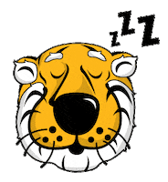 Sleepy Tigers Sticker by University of Missouri