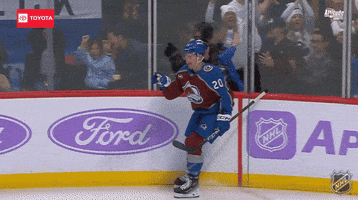 Happy Colorado Avalanche GIF by NHL