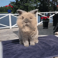 Mood Winter GIF by JustViral.Net