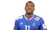 France Hand Sticker by EHF