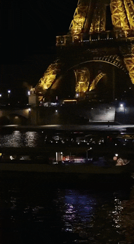 GIF by Pavidas