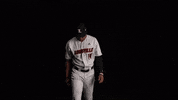 University Of Louisville Baseball GIF by Louisville Cardinals