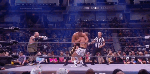 Action Bronson Wrestling GIF by AEWonTV