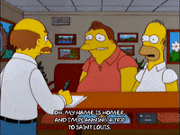 planing homer simpson GIF