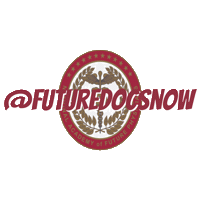 Congress Future Doctor Sticker by The National Academy of Future Physicians and Medical Scientists