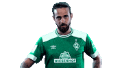oh no omg Sticker by SV Werder Bremen