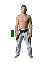 sticker fighter by Karate Combat