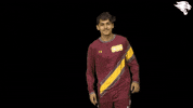 Cuc19 GIF by CUCougars