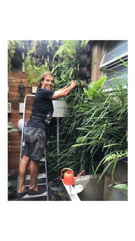 amandajacobus giphygifmaker GIF