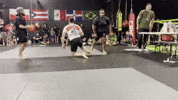 New Asgard GIF by New Asgard Martial Arts