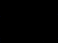 color performance GIF by Devon Stern