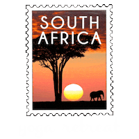 South Africa Vacation Sticker by Radiant Hot Yoga