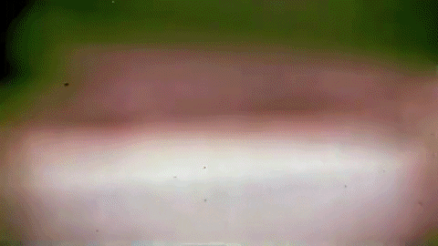 Video Art Fun GIF
