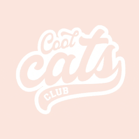 ziggy_family love cat ziggy cat lovers GIF