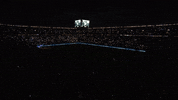 Veltins Arena Football GIF by FC Schalke 04