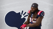 Brandon Bolden Football GIF by New England Patriots