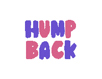 Humpback Sticker