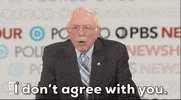 I Dont Agree With You Bernie Sanders GIF by GIPHY News