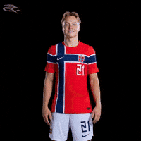 Fifa World Cup Uefa GIF by Respective