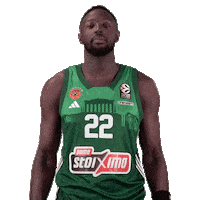 Jerian Grant Pao Sticker by Panathinaikos BC AKTOR