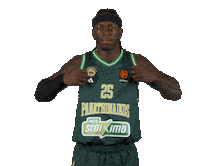 Kendrick Nunn Pao Sticker by Panathinaikos BC