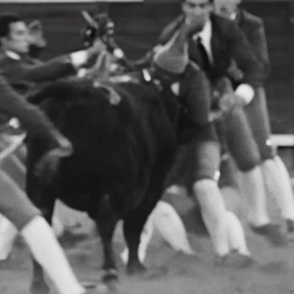 Bullfighting GIF by NOWNESS