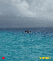 John John Florence GIF by FLORENCE