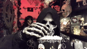 show snacks GIF