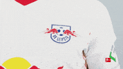 Happy Rb Leipzig GIF by Bundesliga