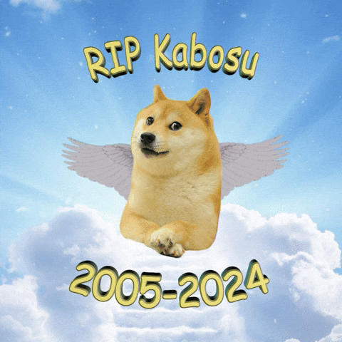 Digital art gif. Doge with fluttering wings is in heaven and poses on top of clouds and stares at us with their paws crossed. Text, "RIP Kabosu 2005-2024."