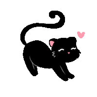 magrelissa cat cats animal pet Sticker