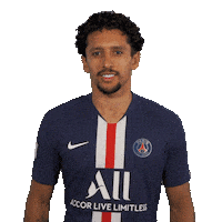 Psg Love Sticker by Paris Saint-Germain